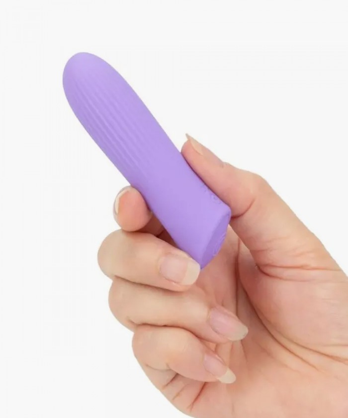 미니 바이브레이터