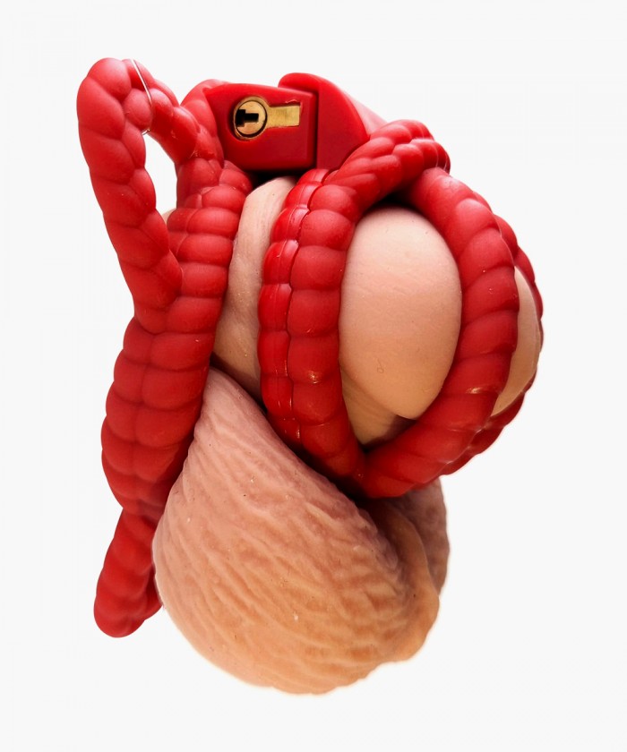 로프 정조대