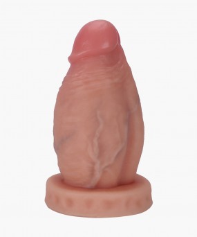 틱 페니스 애널 플러그