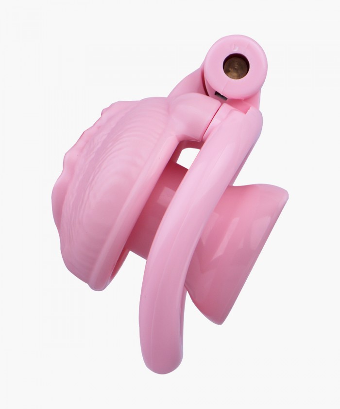 네거티브 푸시 정조대 세트