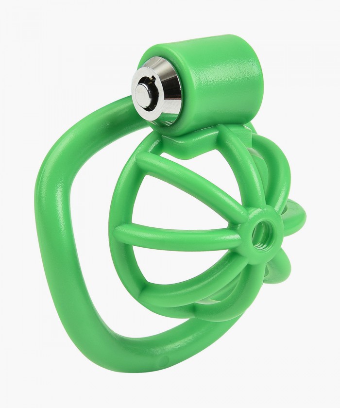 그린 커브링 정조대